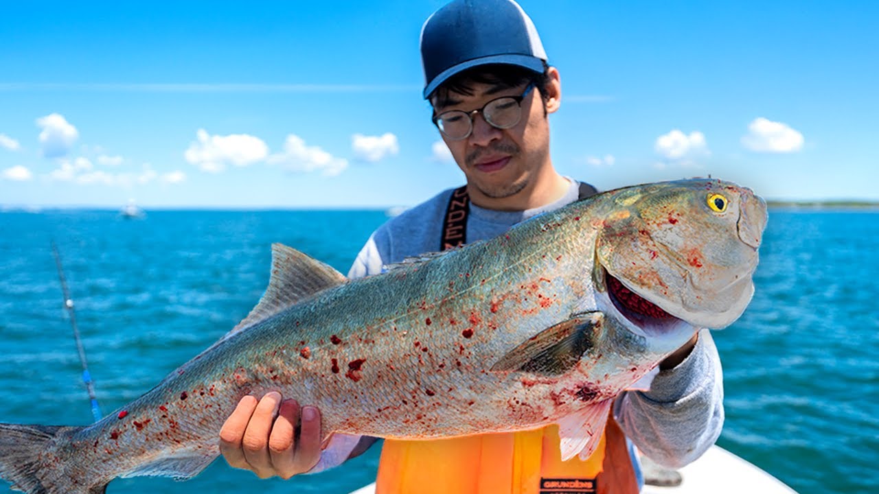 YouTube post by @Tackle2thePeople for Mustad Fishing. Caption reads: 24 Hours to Catch as Much Trash Fish as Possible.