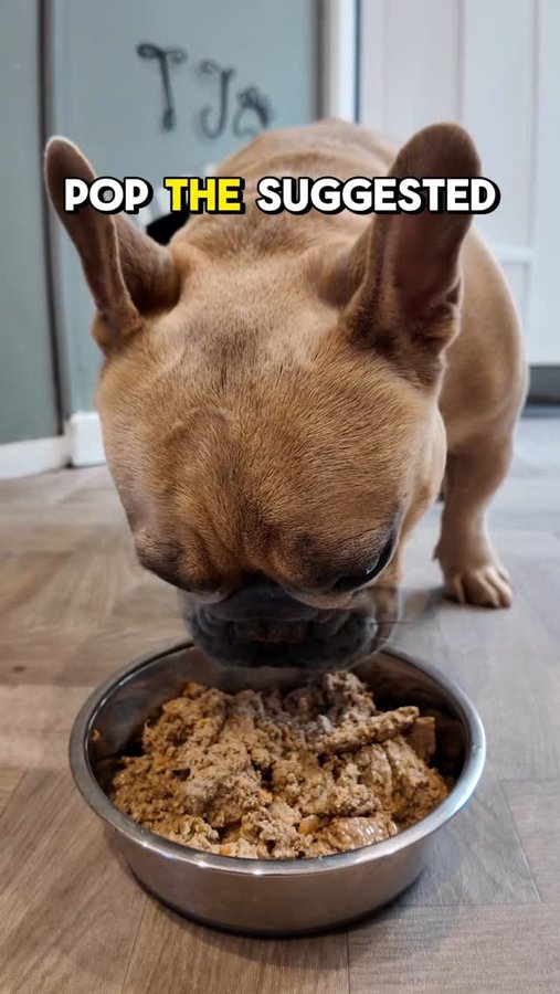 Instagram post by @tj.the.frenchie for Marleybones. Caption reads: [...] value, convenience and no nasties....