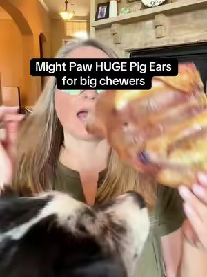 TikTok post by @lifeoflexi_gsd for Mighty Paw. Caption reads: Mighty Paw Naturals pig ears are huge, crunchy....