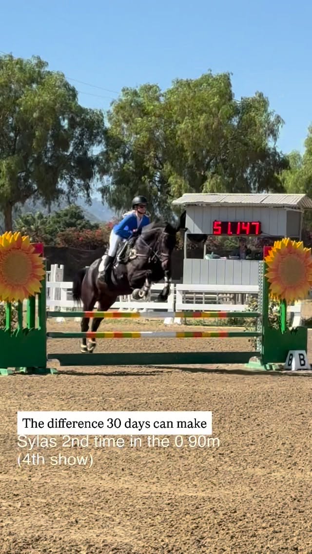 Instagram post by @zlequestrian for Majyk Equipe. Caption reads: [...] : “zlequestrian5” @shires_usa @majykequipe....
