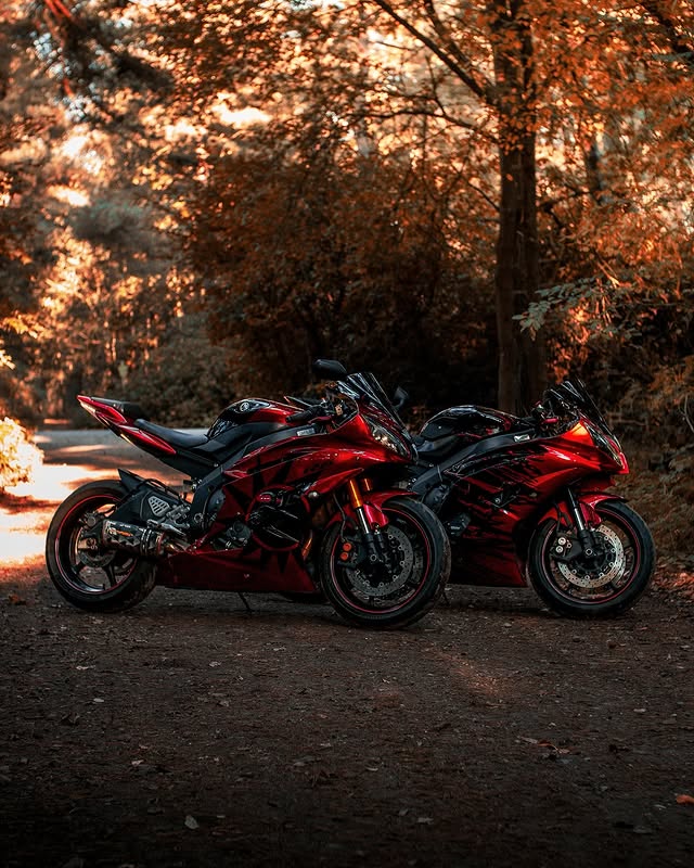 Instagram post by @donnaschins for ABS Fairings. Caption reads: [...] 🫶🏻

@cardosystems (Donna....