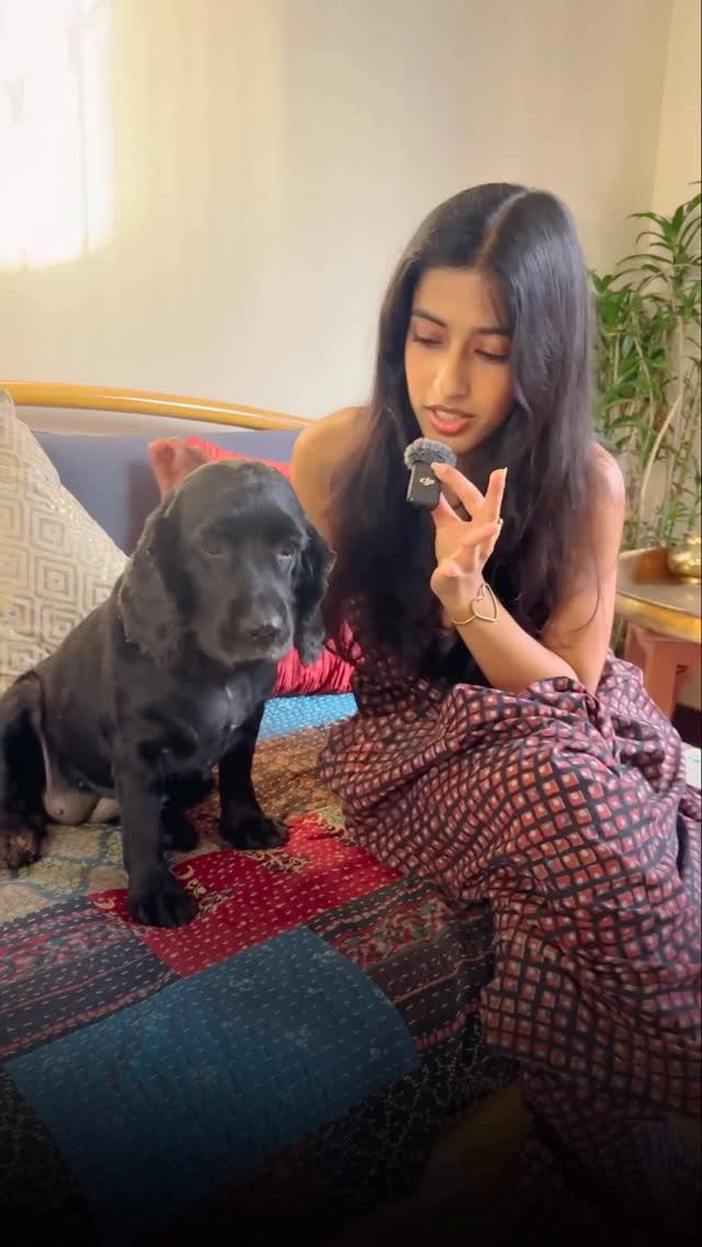 Instagram post by @chaitali.verma for MakeMyTrip. Caption reads: [...] find the deal of the year or....