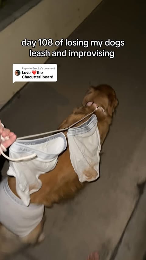 Instagram post by @doggycharly for Hanes. Caption reads: going through these like no one’s business....