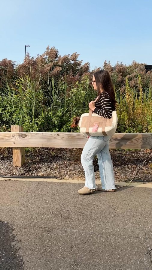 Instagram post by @minidoxbenny for Lambwolf. Caption reads: the subway carrier from @lambwolf.co that we can’t....