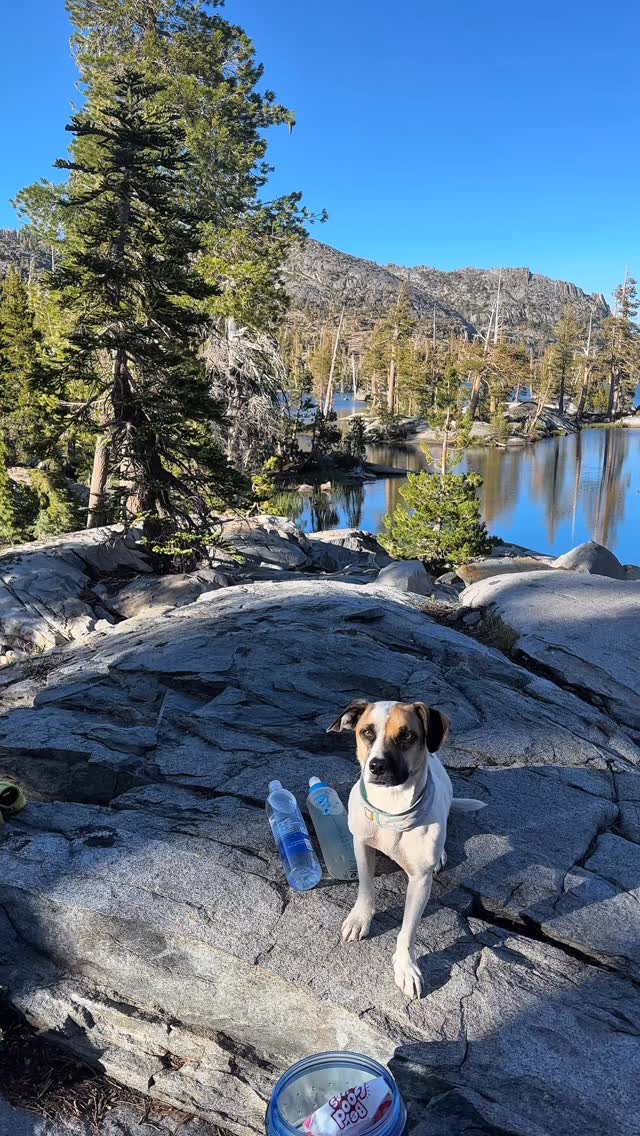 Instagram post by @emmajanegeisler for Ruffwear. Caption reads: my dog’s lightweight gear list 👇🏻

i wanted to....