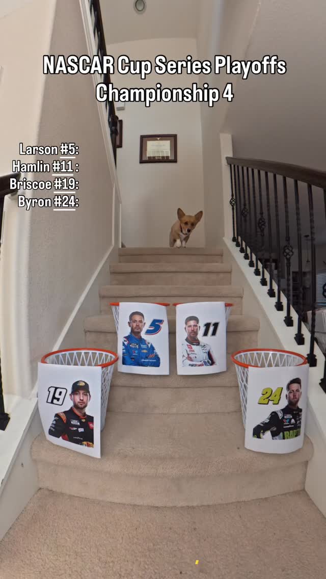 Instagram post by @aircorg for NASCAR. Caption reads: Prediction made ✅🏆 #championship4

Air Corgi....