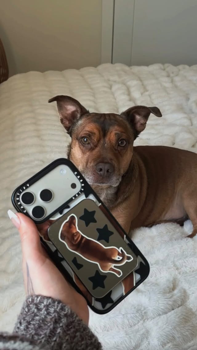 Instagram post by @ugcwithkaytelynn for CASETiFY. Caption reads: [...] Shop the pet collection phone cases at....