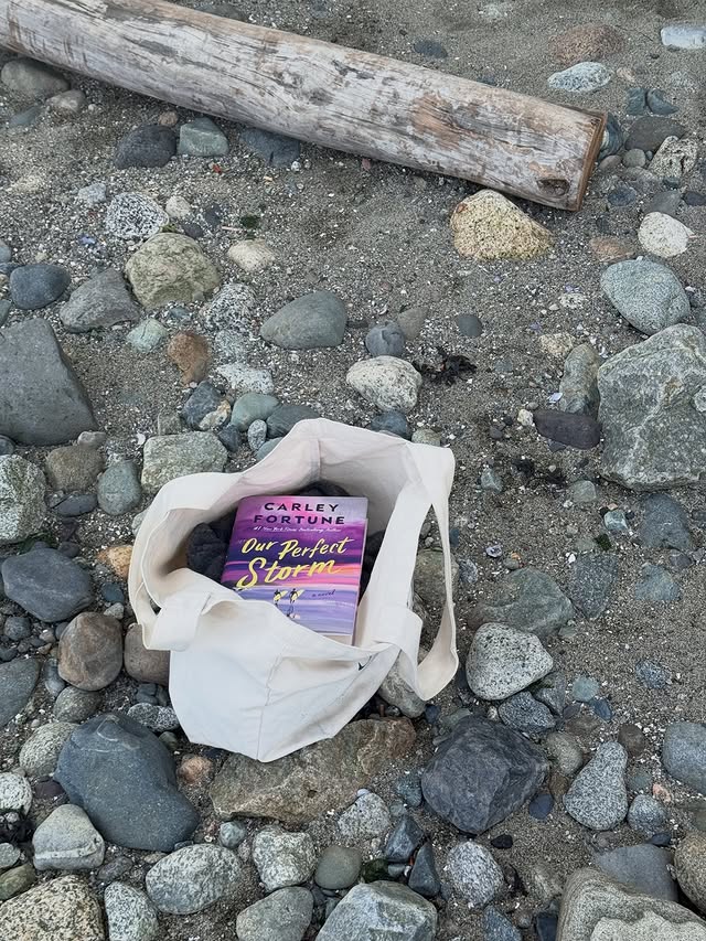 Instagram post by @theonewholikestoread for Berkley Publishing Group. Caption reads: Tofino - the darling spot on Vancouver Island and....