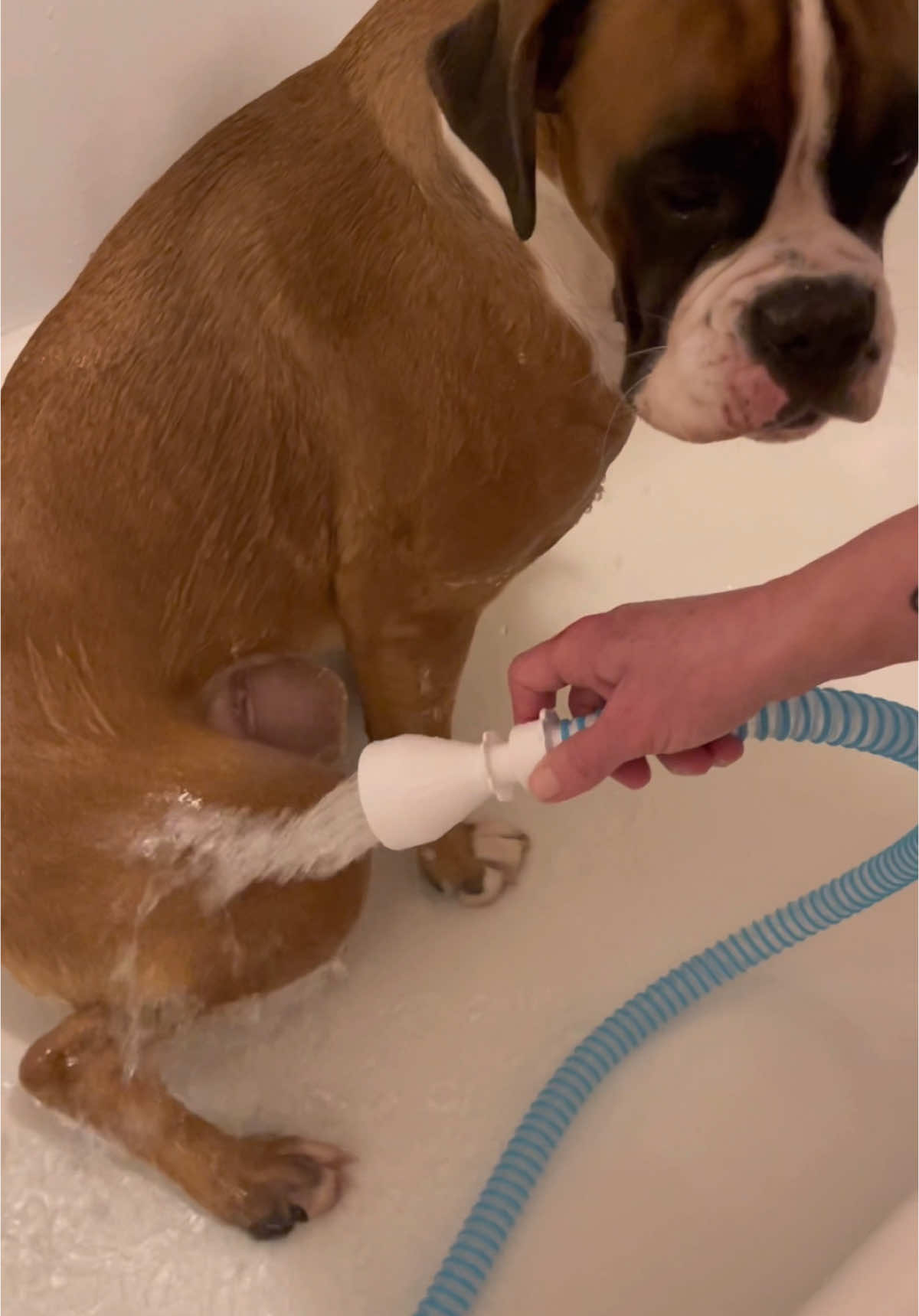 TikTok post by @leroybrownesq for Rinseroo. Caption reads: @Rinseroo™ #rinseroo [...].