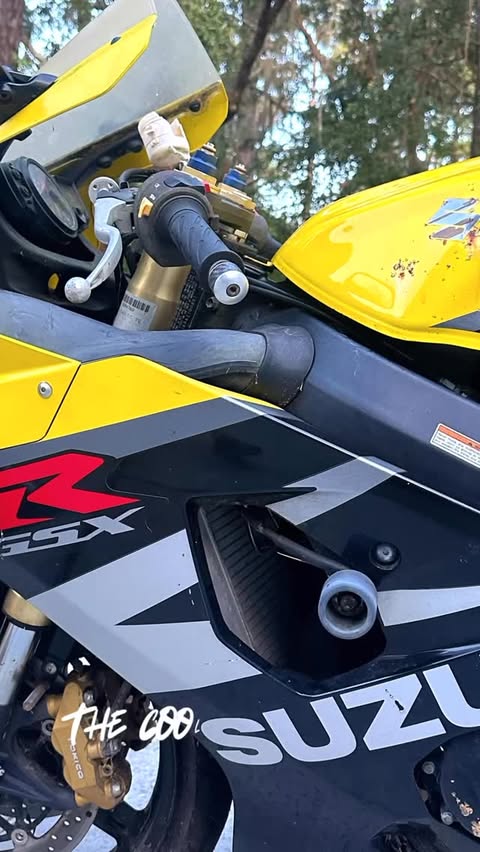 Instagram post by @look_its_smalls for Monster Fairings. Caption reads: [...] rags to riches in partnership with Monster....