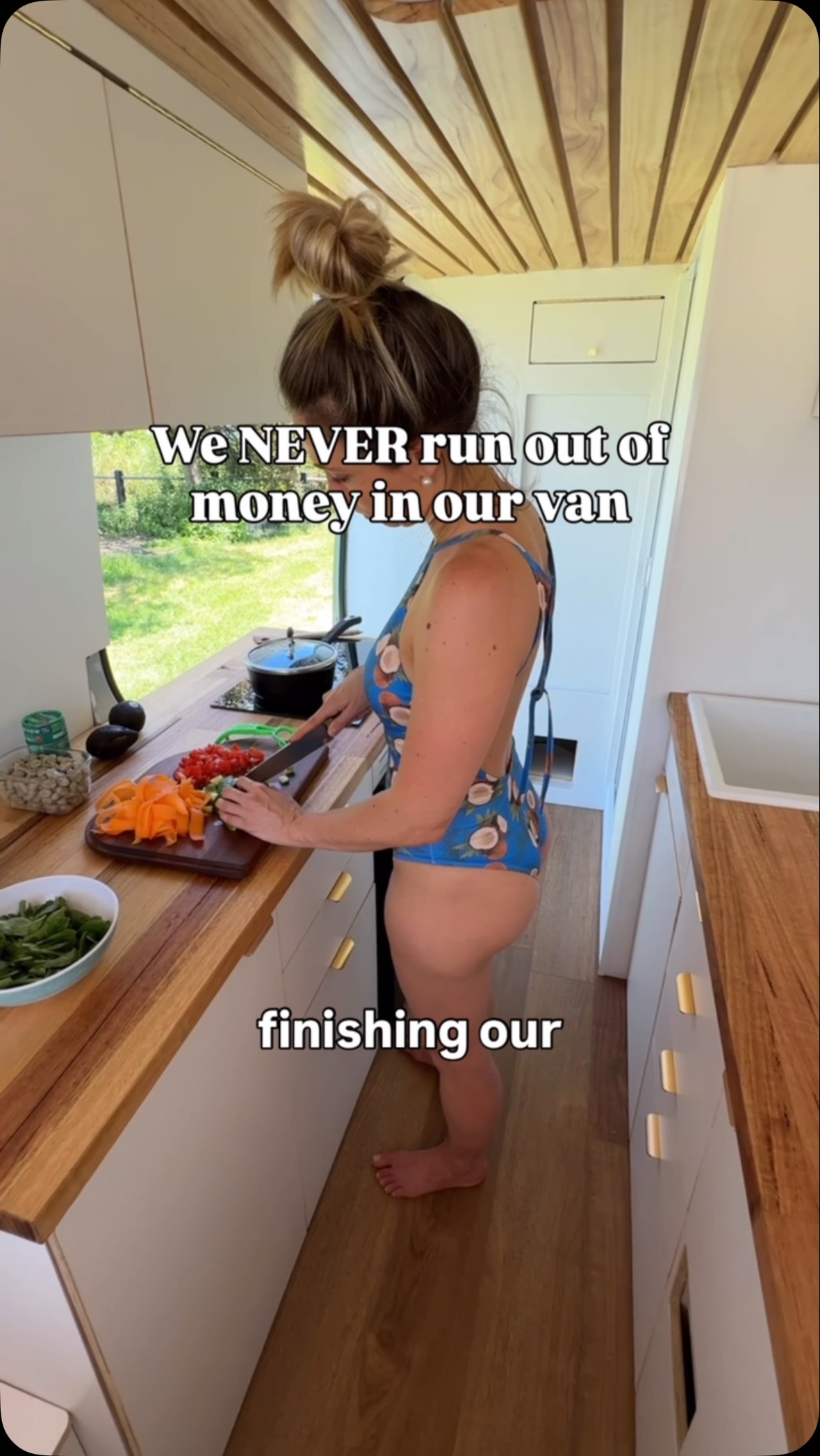 Instagram post by @wadeanddani for Renogy. Caption reads: [...] swapped out our solar setup with 3 of....