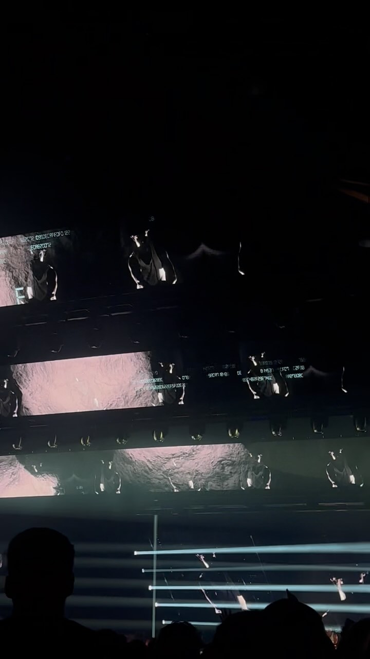 Instagram post by @jessicalosurdo for Untitled Group. Caption reads: This is good for the soul x @untitledgroupau....