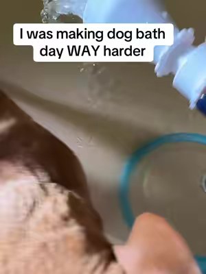 TikTok post by @jessicakwallace12 for Rinseroo. Caption reads: [...] part SO much easier! #dogbath #rinseroo....