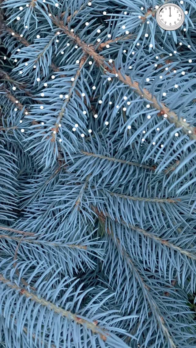 Instagram post by @all_books_great_and_small for Birthdate. Caption reads: ♈️♊️ BOOKS, CANDLES, JEWELERY....
