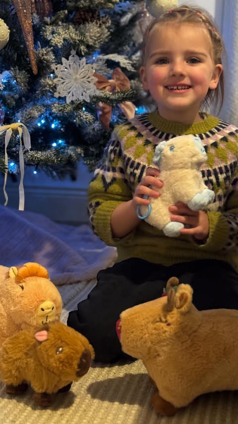 Instagram post by @mumlifeadventuresne for Capy Era. Caption reads: Nothing beats that pure little-kid joy — and today....