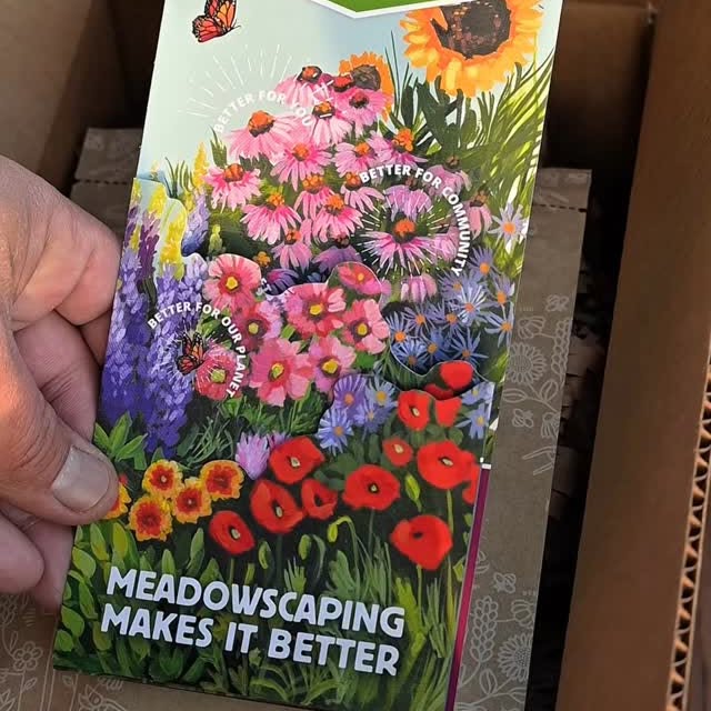 Instagram post by @renancampelo for American Meadows. Caption reads: Thanks to @AmericanMeadows for the free product!....