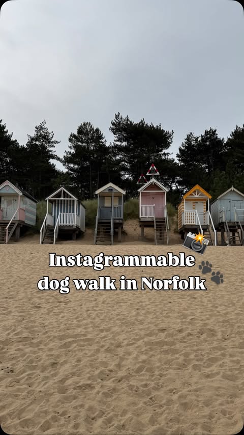 Instagram post by @ruby_the_chocolate_cockapoo for Dog Furiendly - Dog Friendly Places. Caption reads: The Norfolk dog walk that should be on your list....