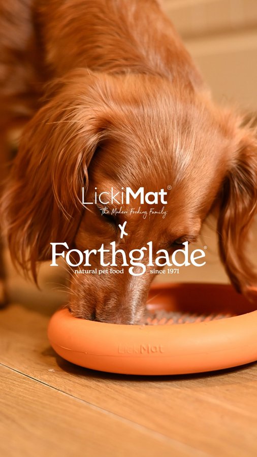 Instagram post by @thehairyhighlanders for Forthglade. Caption reads: More and more dog owners are ditching the bowl and....