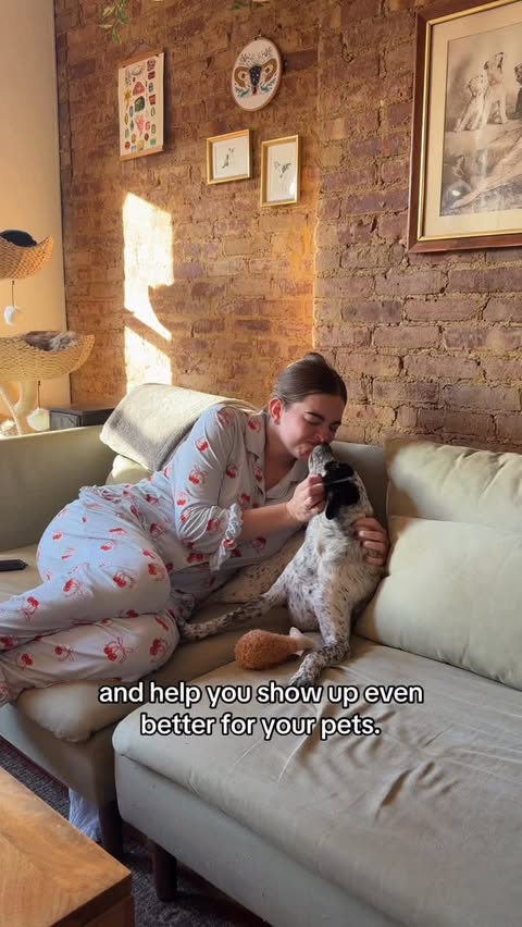 Instagram post by @tellingourtails for Native Pet. Caption reads: A little raw & real today. I hope this reaches....