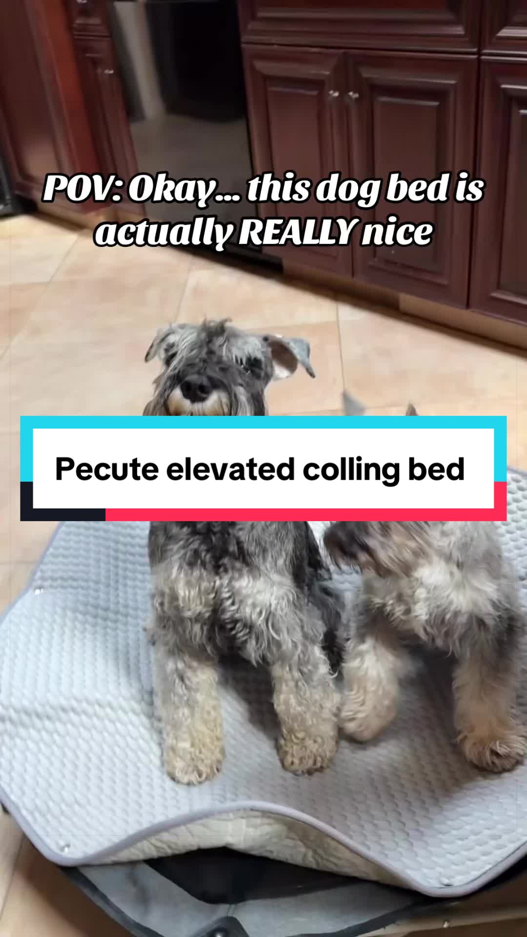 TikTok post by @skyline_giant_sch for Pecute. Caption reads: [...] know when something is for them 😂 @Pecute....