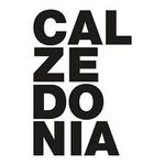 Calzedonia logo