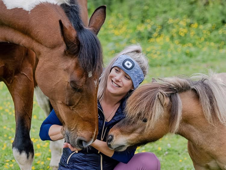 Instagram post by @life_on_the_left_rein for Equi Light. Caption reads: Summer Solstice the Day EVERY HORSE OWNER loves &....