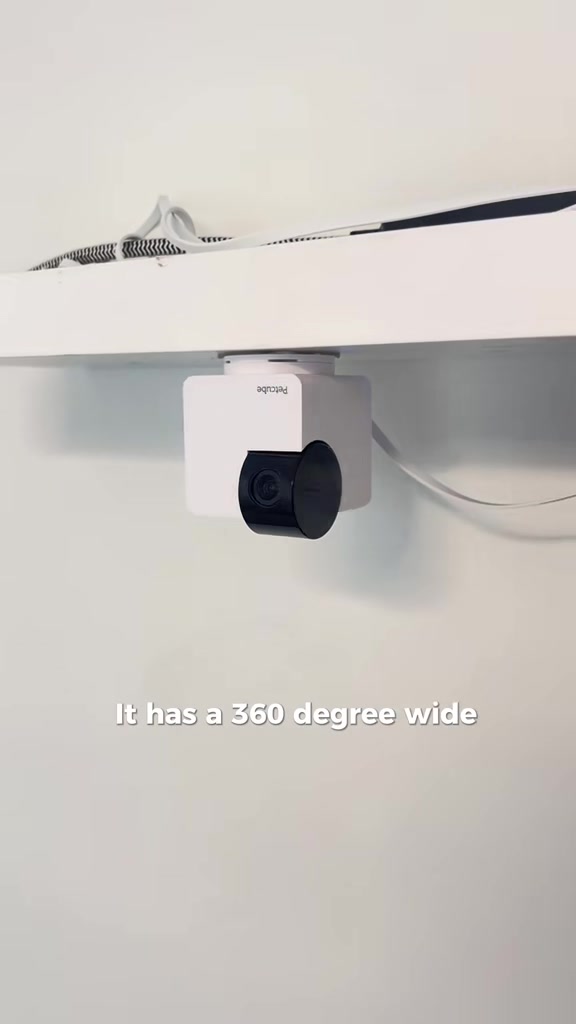 TikTok post by @bentoboxtheraccoon for Petcube. Caption reads: @Petcube Inc. remains the best option for high....