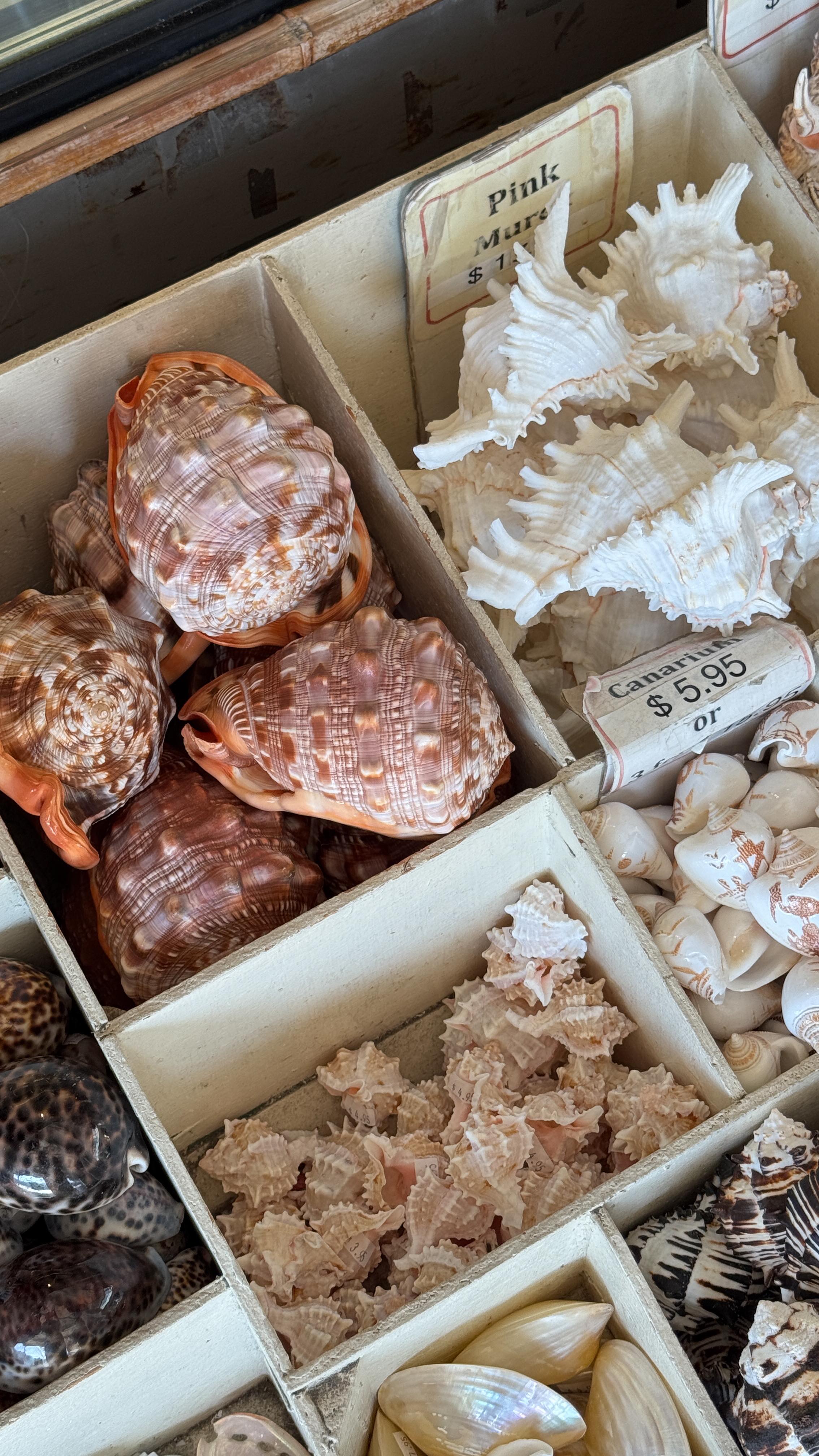 Instagram post by @alisecaroline for Static Nails. Caption reads: summer nails by the pool, say less🌞💅🏼 I’ve been....