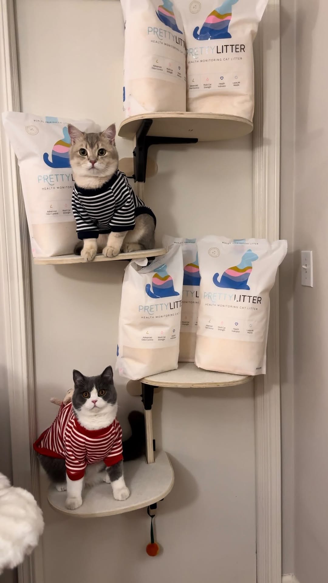 Instagram post by @louieandtodd for Prettylitter. Caption reads: We’ve been using @prettylitter’s revolutionary....