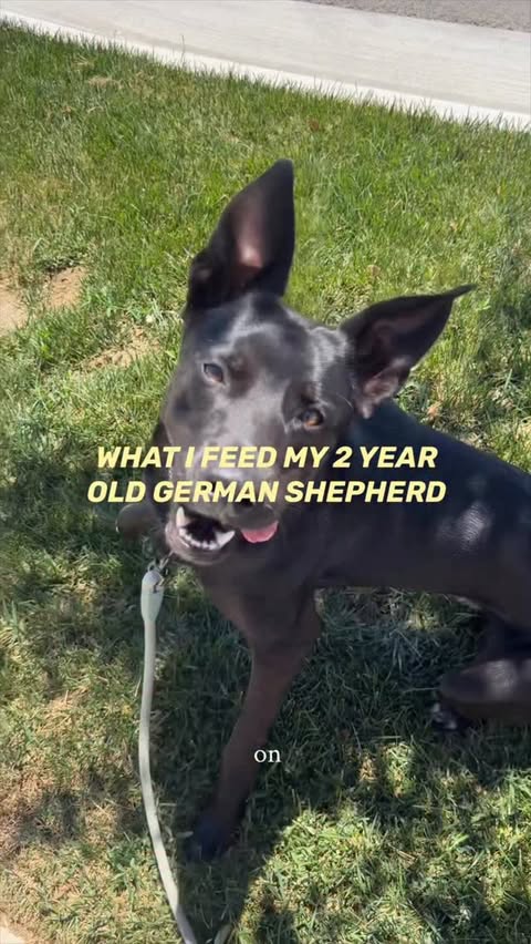 Instagram post by @alyssaasalazar_ for Jinx. Caption reads: [...] ingredients too 🐾🤍 You can grab @thinkjinx....