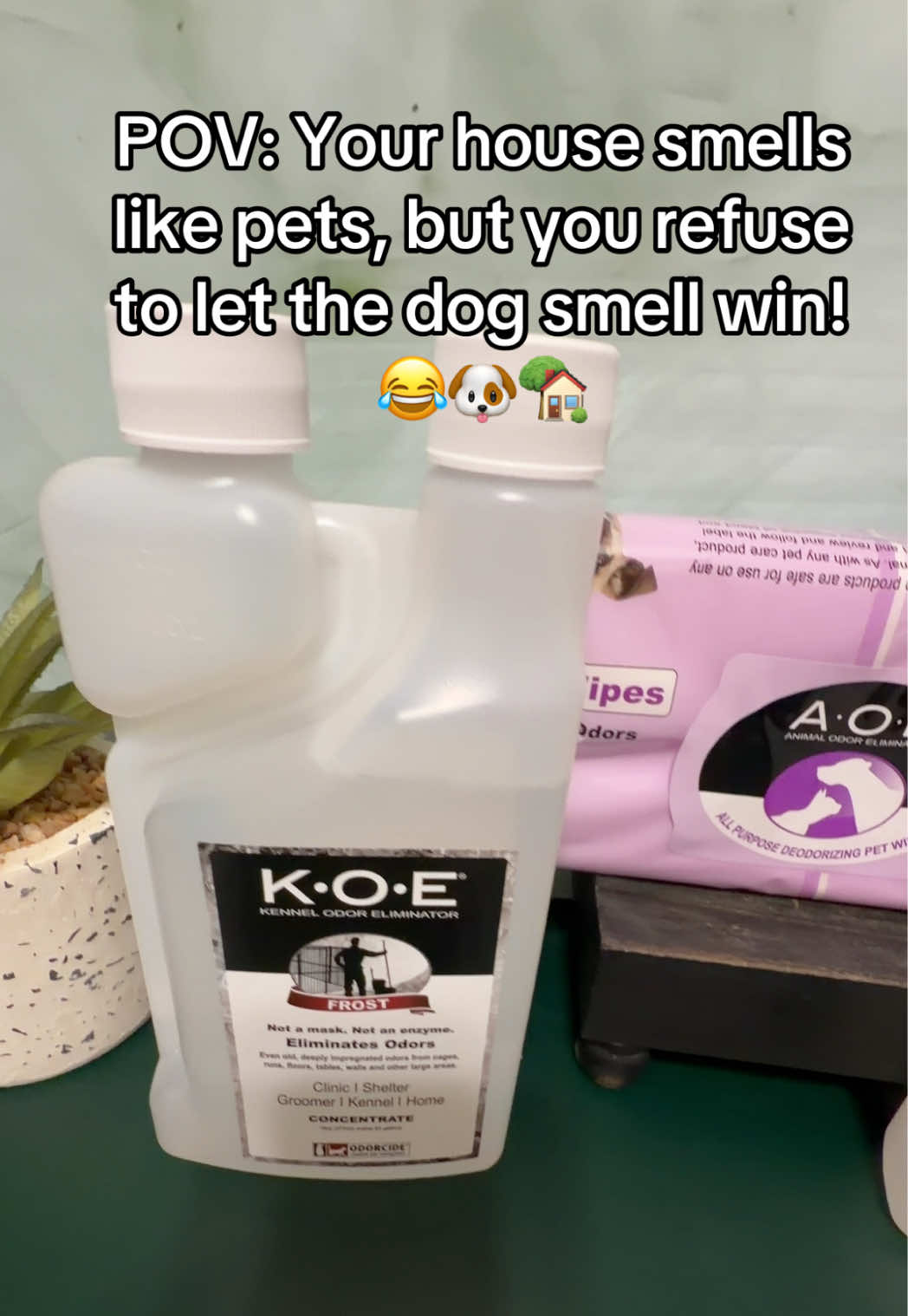 TikTok post by @garajohn for Odorcide. Caption reads: 🐾 IF YOU HAVE DOGS, YOU NEED THIS! @Odorcide....