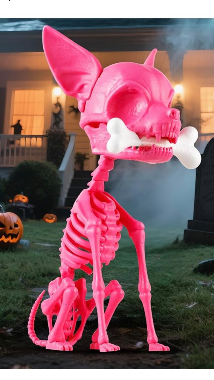 Instagram post by @lifewithfairyusa for Quntis. Caption reads: [...] 🔗 Links in bio: Amazon & TikTok Shop....