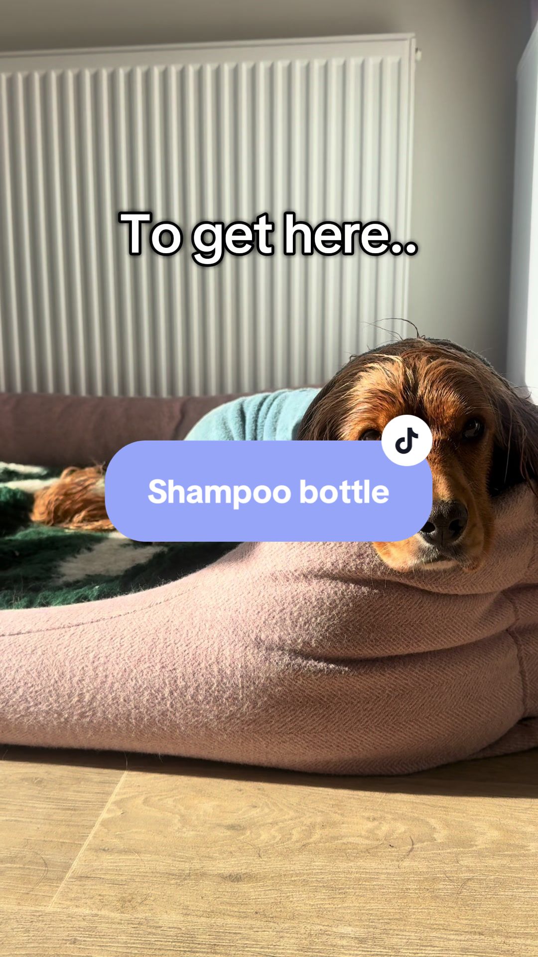 TikTok post by @bestbarkingbehaviour for DotDotPet. Caption reads: [...] look at the back of the bottle? @dotdotpet.