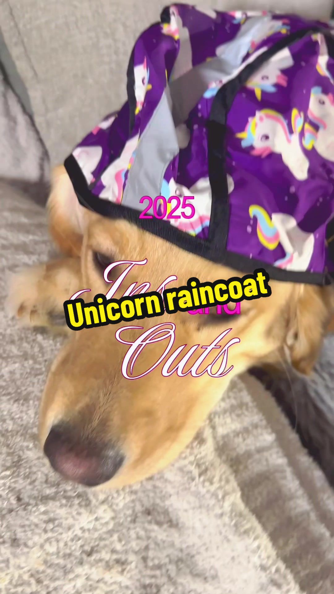 TikTok post by @darcy.world for ShopHDE. Caption reads: [...] duck unicorns! What’s not to love?! @ShopHDE....