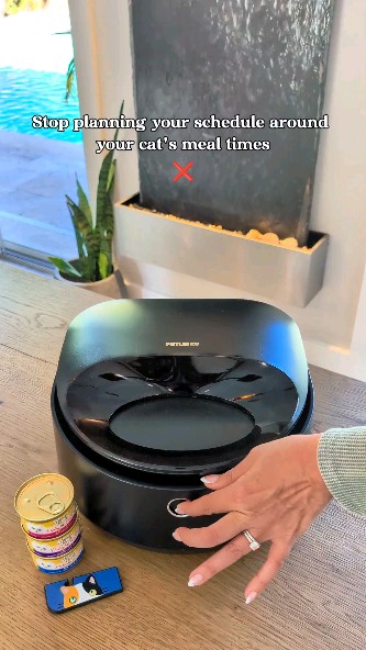 Instagram post by @itscookie.cat for Petlibro. Caption reads: [...] Cookie15 for 15% off you get it from....