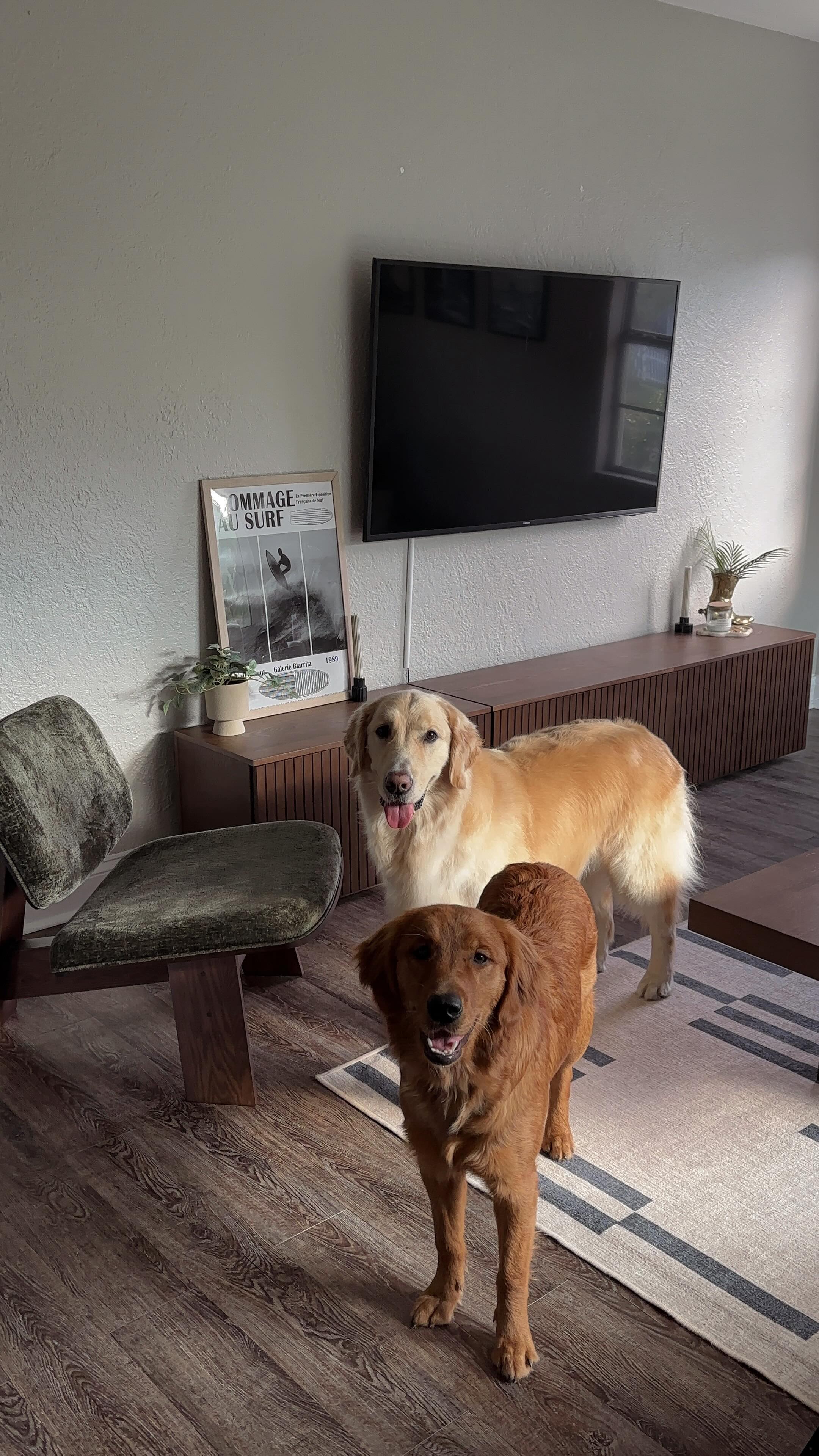 Instagram post by @londonchandler for Greenies. Caption reads: it’s no longer 90 degrees in Florida so time to....