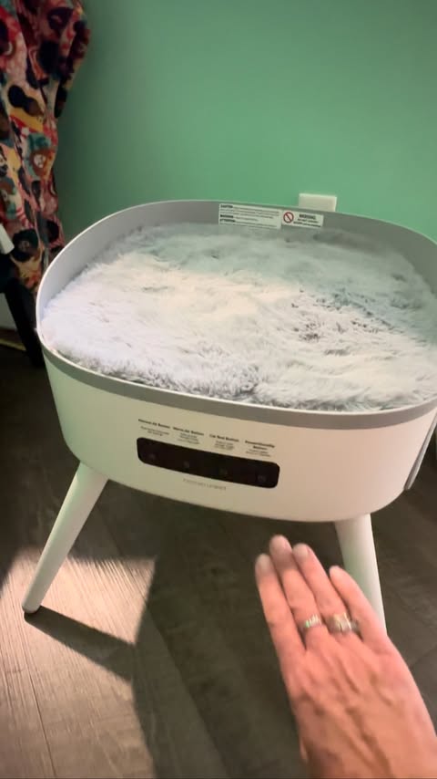 Instagram post by @truffles_the_kitty for Homerunpet. Caption reads: [...] our special mornings…he’s warm on his....