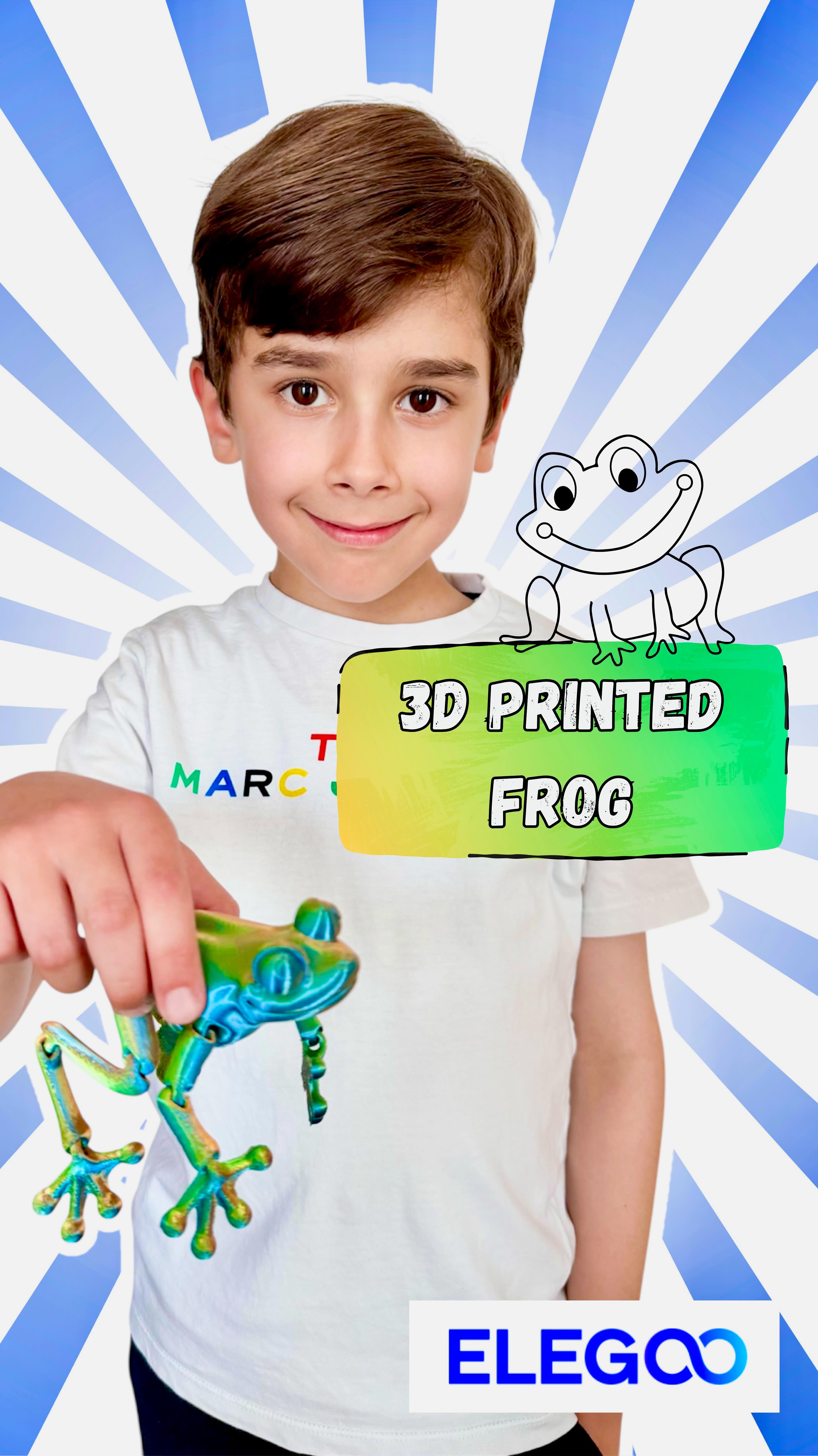 Instagram post by @elegoo_fr for ELEGOO. Caption reads: 3D Printed Frog 🐸 with ELEGOO Centauri Carbon 3D....