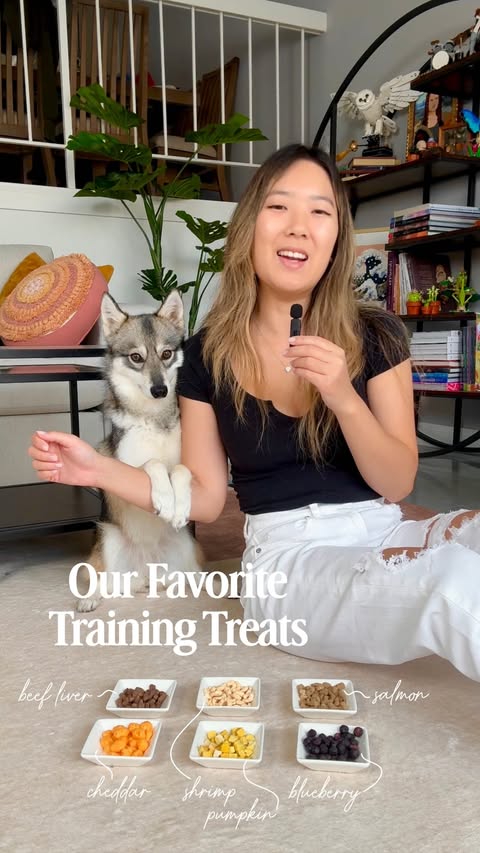 Instagram post by @astridthekleekai for Pupford. Caption reads: ✨ Use code ASTRID to save 15% sitewide....