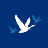 Grey Goose logo