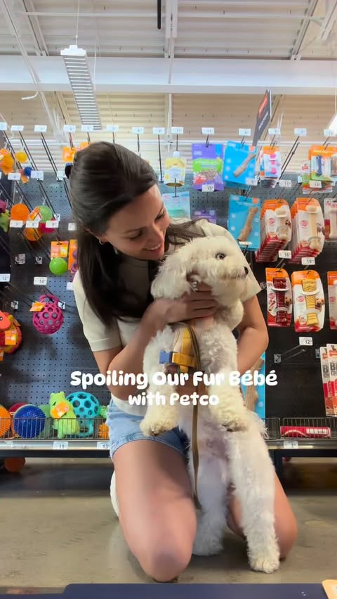 Instagram post by @caroldeltoro for Petco. Caption reads: #AD Spoiling our puppy with @petco. Dwight and I....
