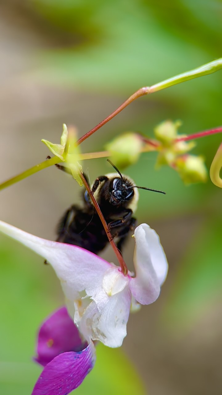 Instagram post by @tardibabe for SANDMARC. Caption reads: Going macro this summer 👀

Had the best time....
