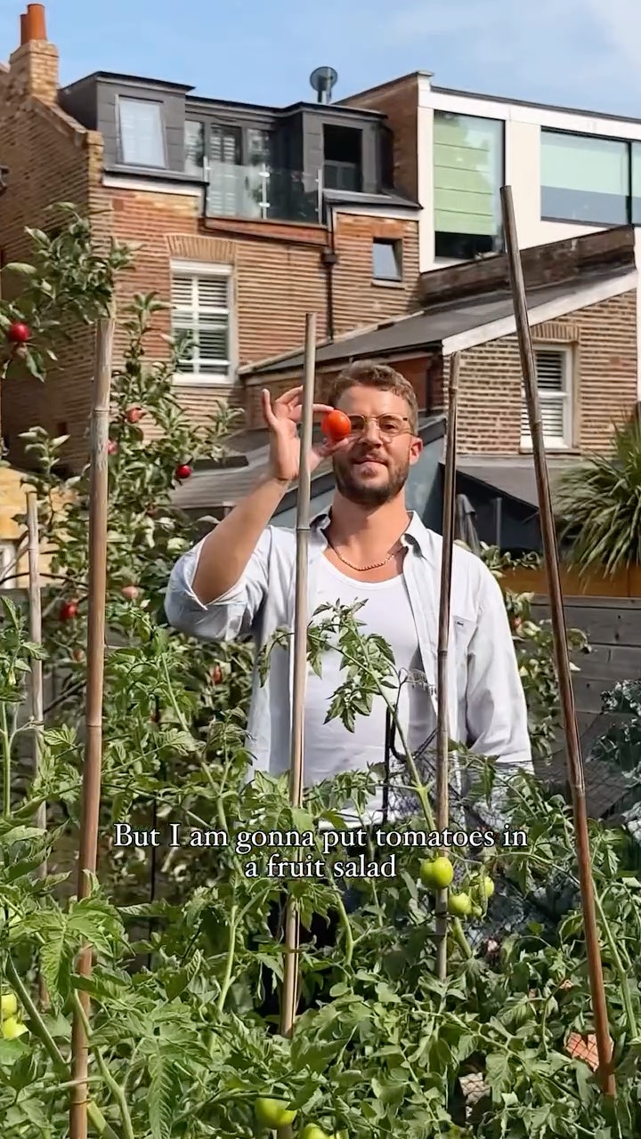 Instagram post by @jordonezraking for Sanpellegrino. Caption reads: Thinking about tomatoes as a fruit really opens up....