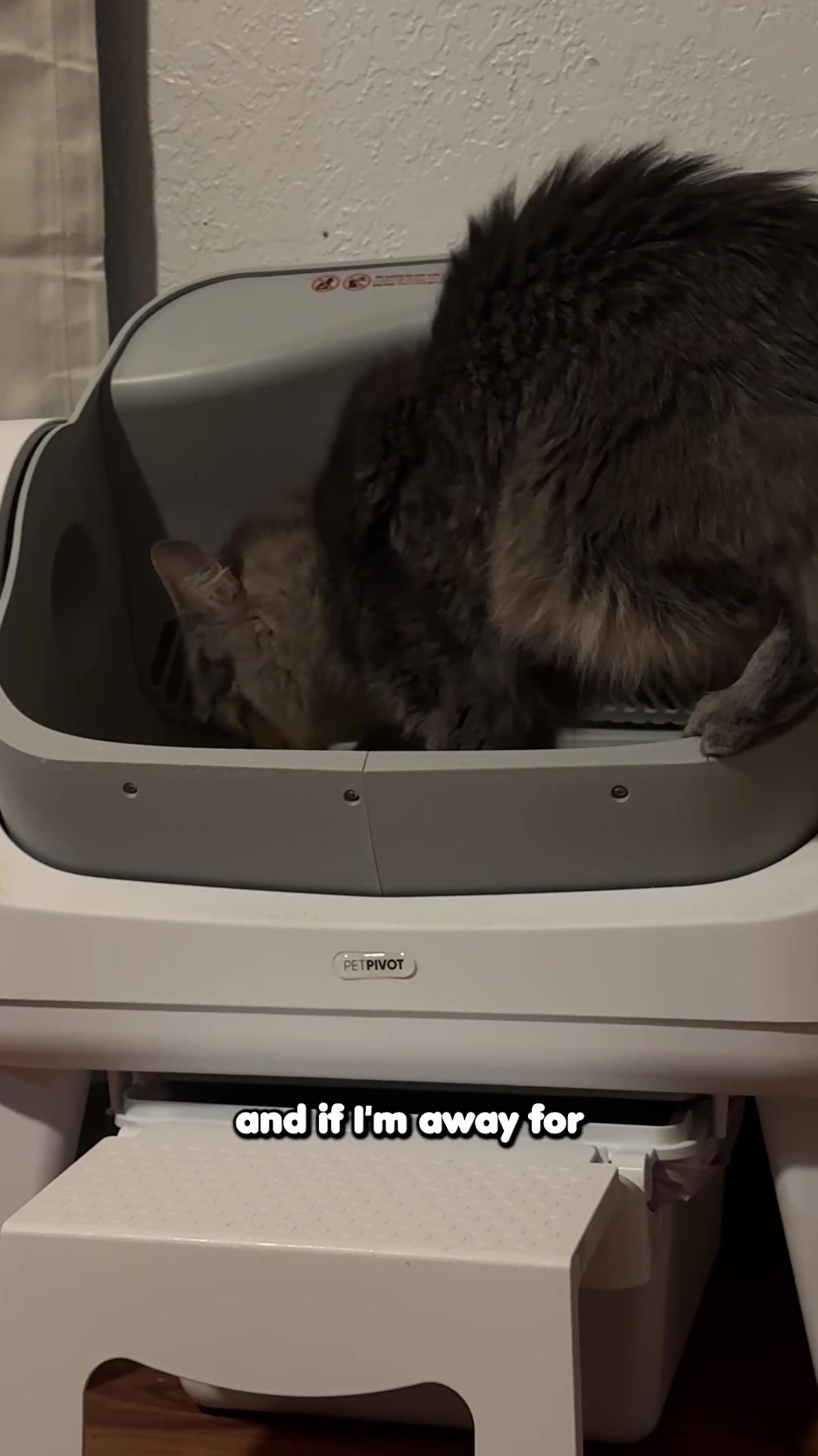 TikTok post by @deadcandy for PetPivot. Caption reads: Is the PetPivot litter box actually safe?....