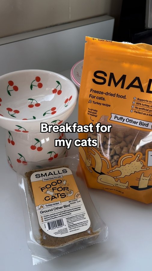 Instagram post by @xxycalico for Smalls. Caption reads: They looove this freeze dried food #smallsforcats....