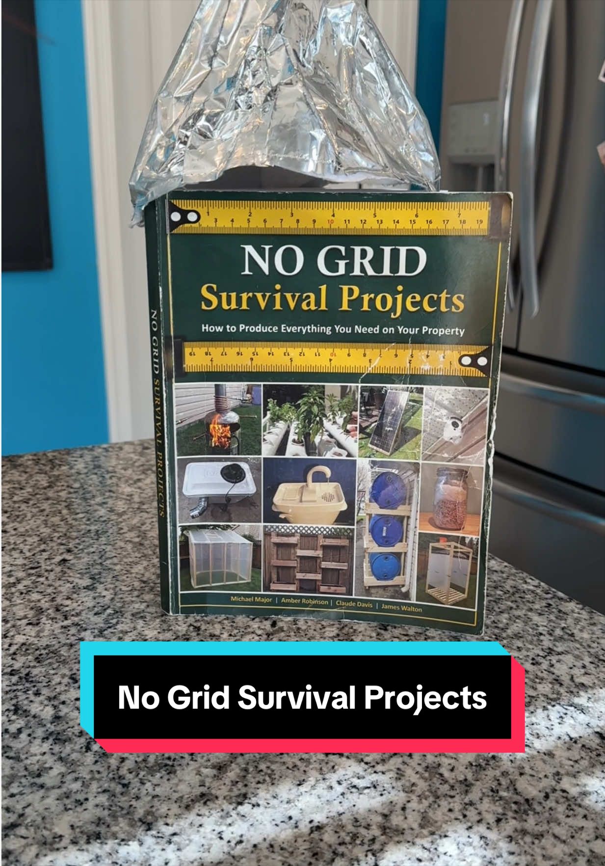 TikTok post by @graveyardgoonz for The Lost Skills. Caption reads: [...] #prepping #energycrisis @The Lost Skills.