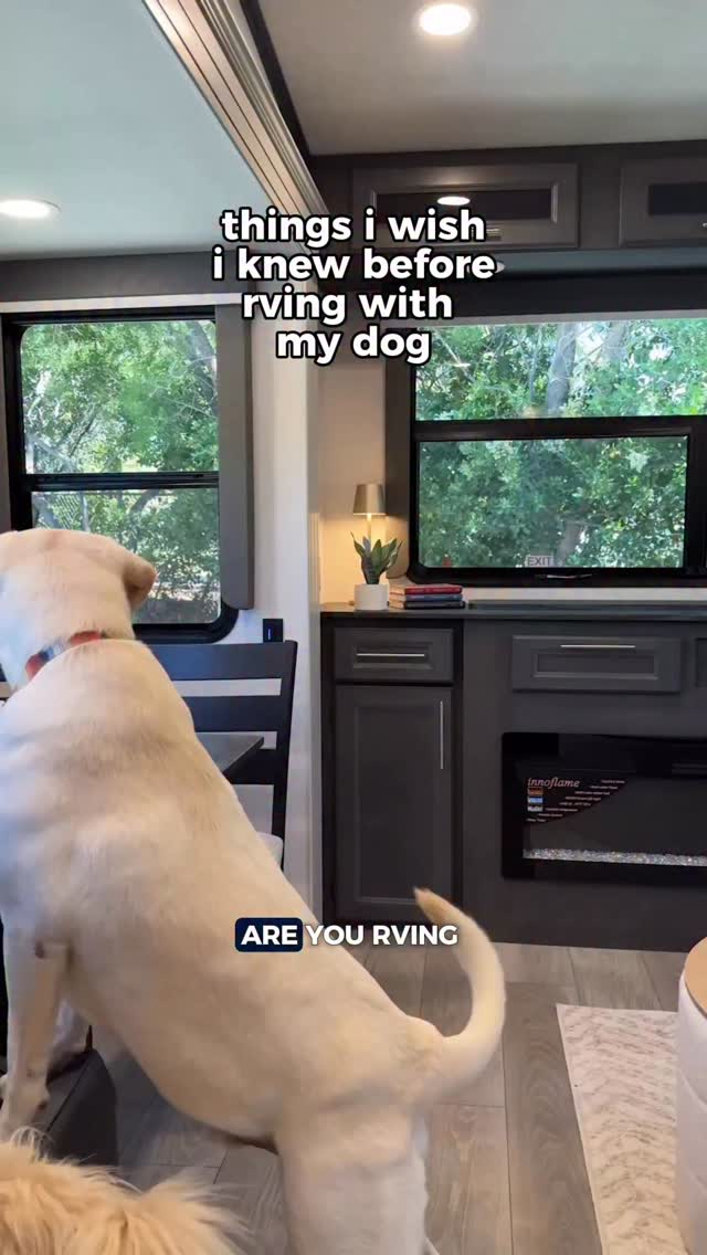 Instagram post by @trishsuhr for Camping World. Caption reads: I work for my dogs. I just happen to get paid in....