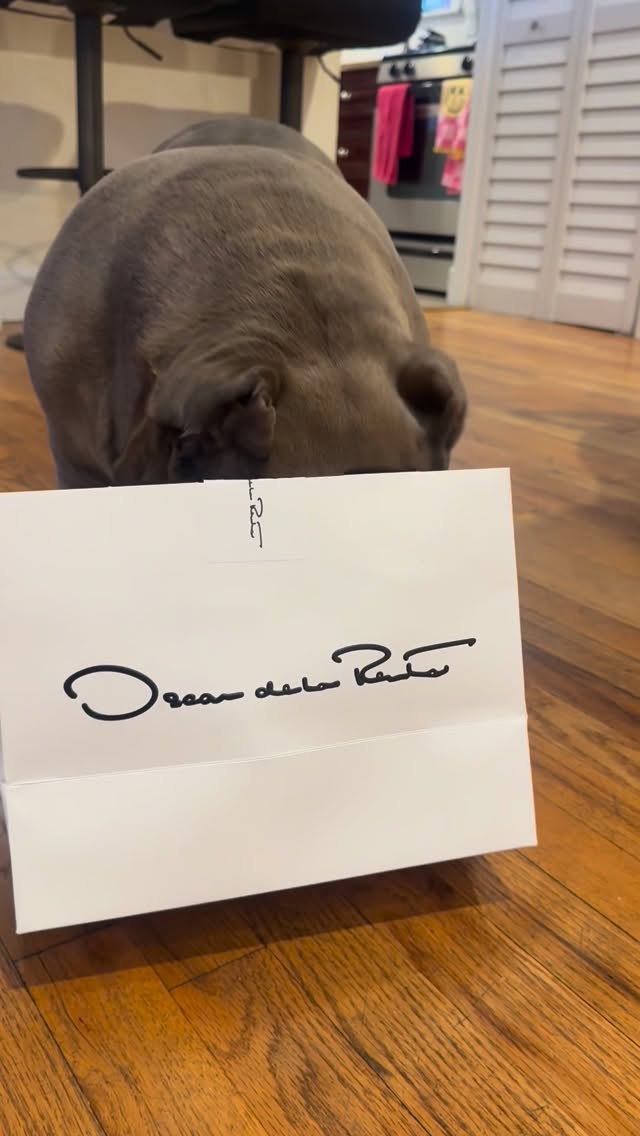 Instagram post by @therealmisspoutine for Oscar De La Renta. Caption reads: Thank you @oscardelarenta and @simonsits for my....