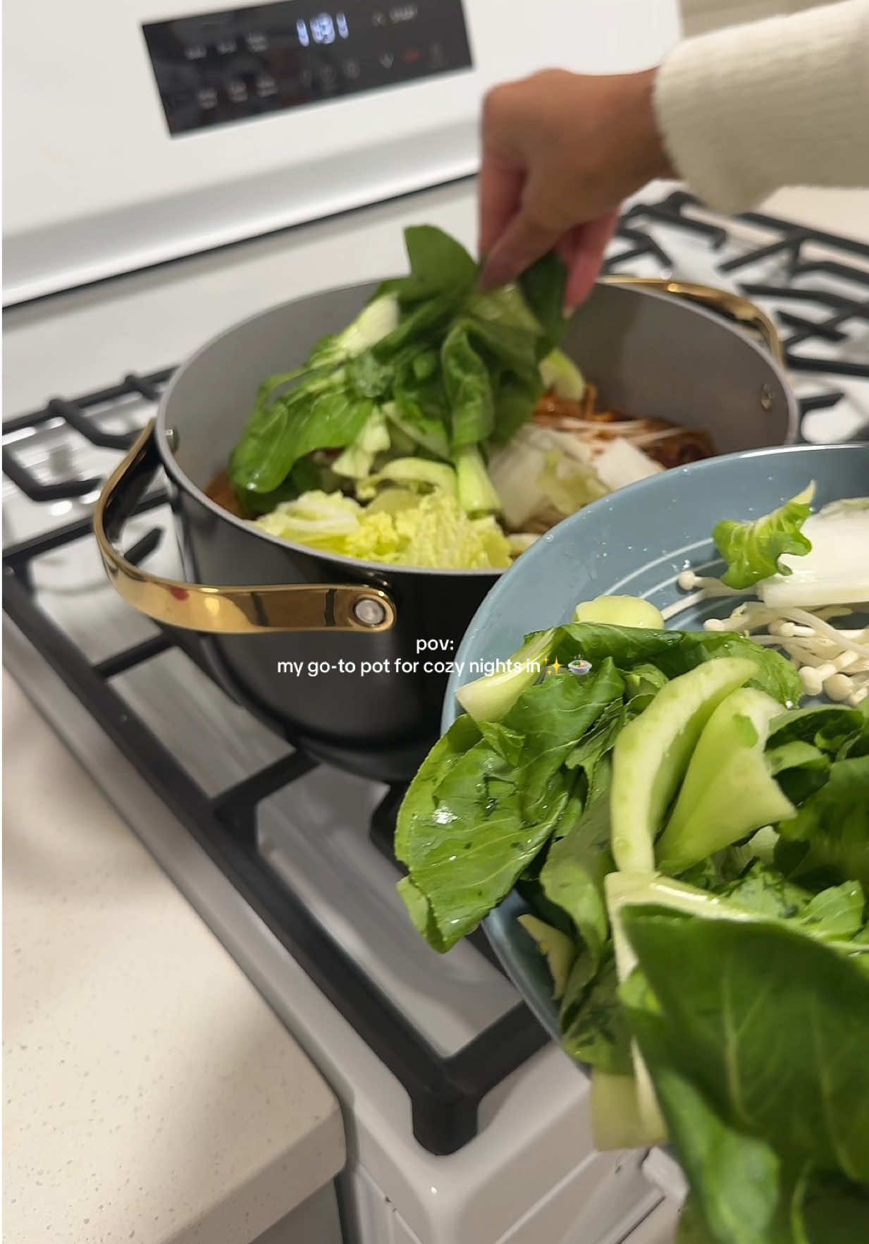 TikTok post by @vickiemnm for Wayfair. Caption reads: My new Wayfair pot is officially the main....