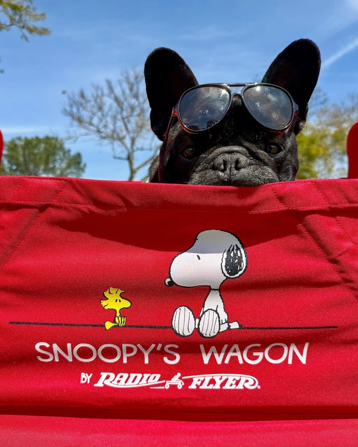 Instagram post by @oatiemeal for Radio Flyer. Caption reads: [...] tail in our new “Snoopy’s Wagon”  by....